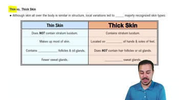 Thin vs. Thick Skin