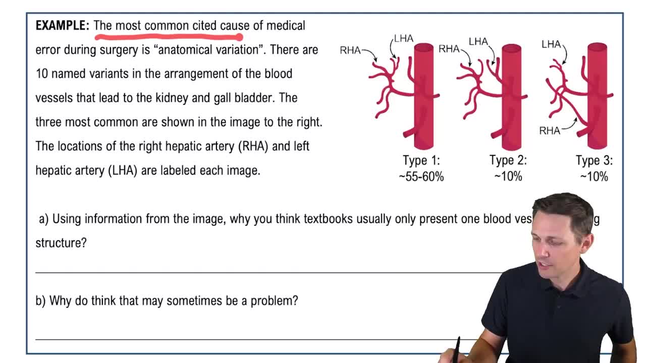 Variation in Anatomy & Physiology Example 1