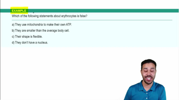 Erythrocytes Example 1