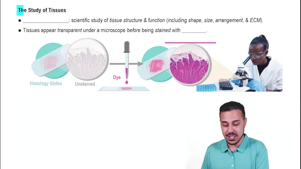 What is Histology?