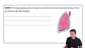 Organization of the Body: Serous Membranes Example 2