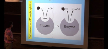 Substrate-Level Phosphorylation