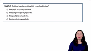 Sympathetic Nervous System Example 5