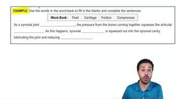 Structural Class: Synovial Joints Example 2