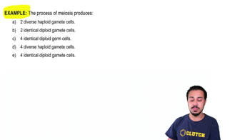 Meiosis Example 1