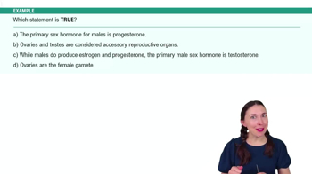 Introduction to the Reproductive System Example 1