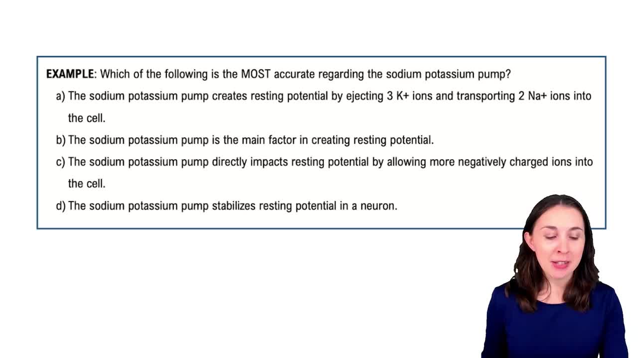 Resting Membrane Potential Example 1