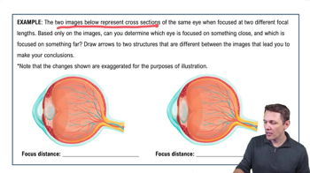 The Lens and Focusing Light on the Retina Example 2