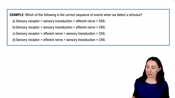 Introduction to Sensory Receptors Example 1