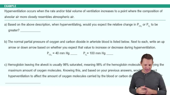 Respiration Example 2