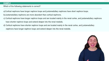 The Nephron Example 5