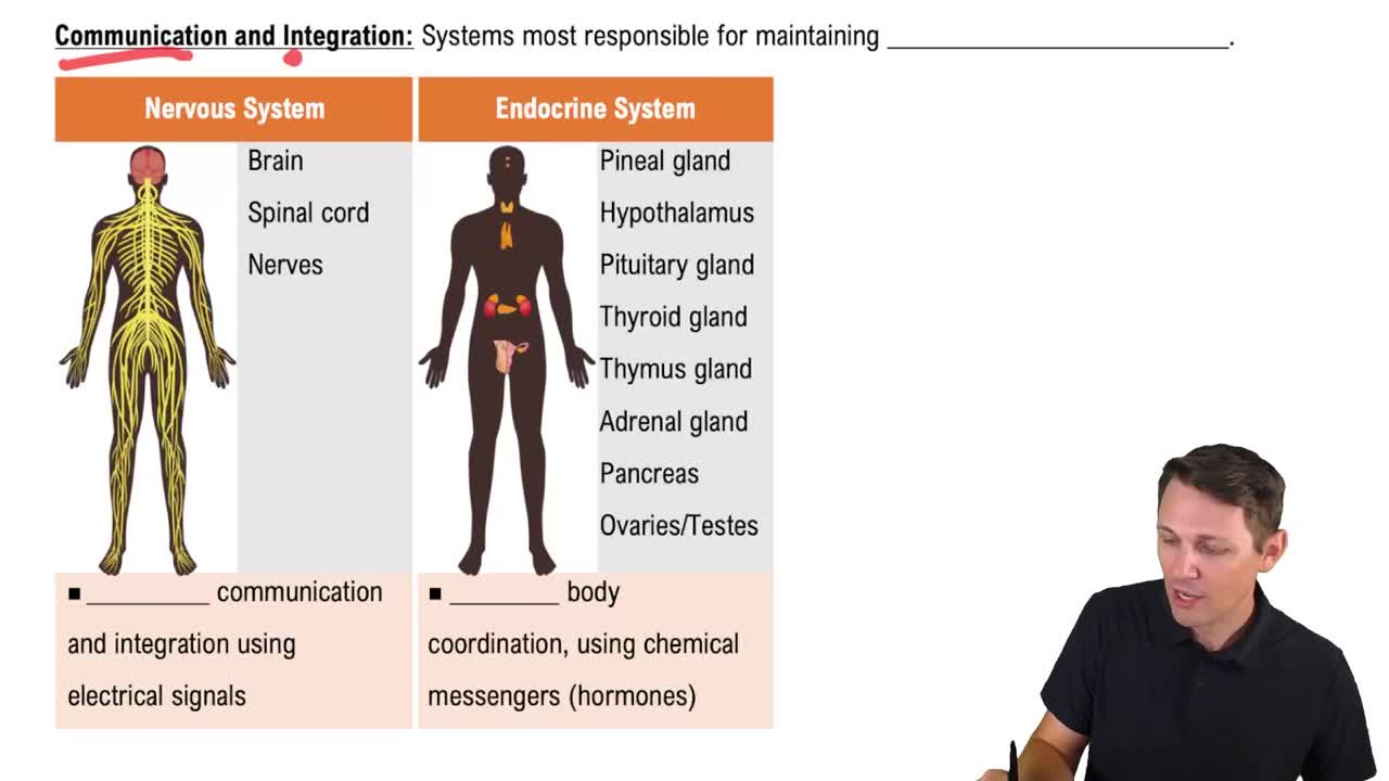 Communication and Integration