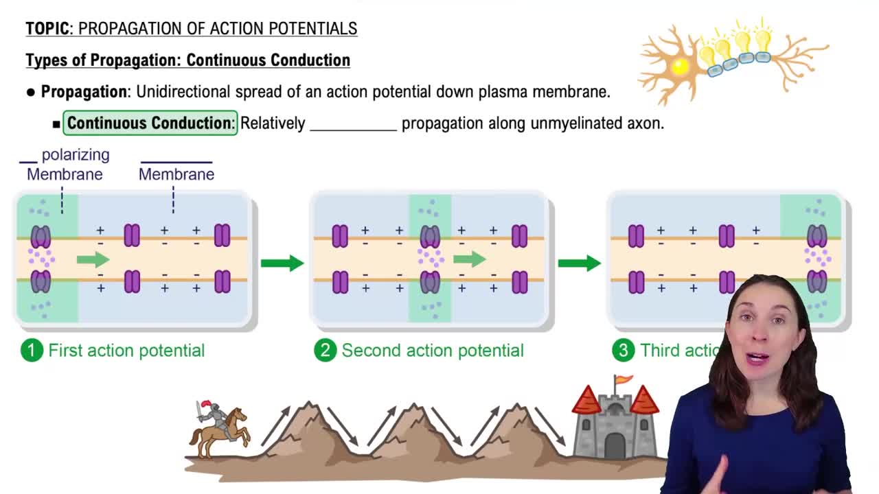 Types of Propagation: Continuous Conduction