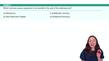 Renal Physiology Step 2: Tubular Reabsorption Example 5