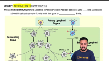 Humoral Immunity