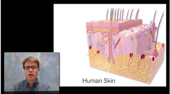 Integumentary System