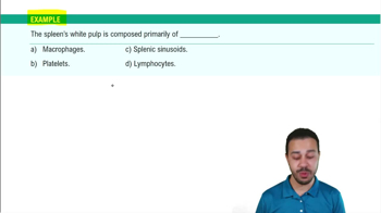 Secondary Lymphoid Organs: The Spleen Example 2