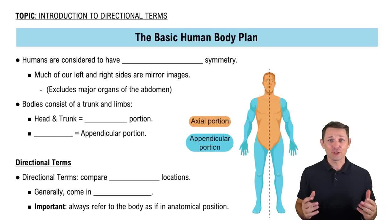 Introduction to Directional Terms