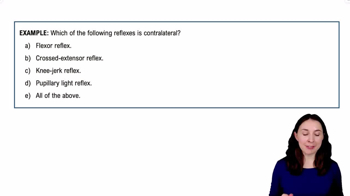 Reflex Arcs Example 3