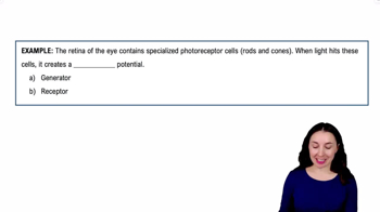 Organization of Sensory Pathways Example 1