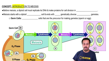 Introduction to Meiosis