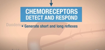 Regulation of Pancreatic Juice and Bile Synthesis & Secretion