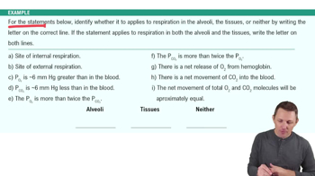 Respiration Example 3