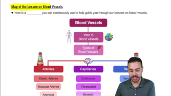 Map of the Lesson on Blood Vessels