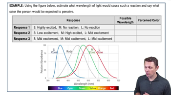 Rods, Cones, and Light Example 1