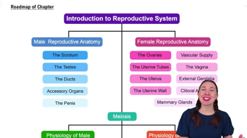 Roadmap of Chapter