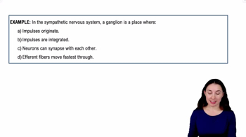 Sympathetic Nervous System Example 2