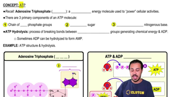 ATP