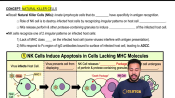 Natural Killer Cells