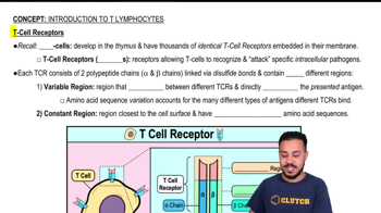 T-Cell Receptors