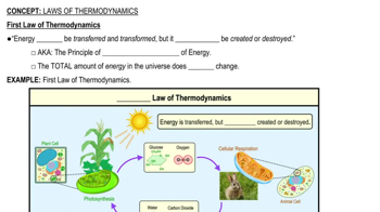 First Law of Thermodynamics