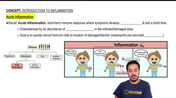 Acute Inflammation