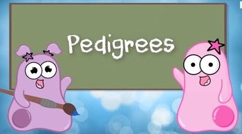 Pedigrees