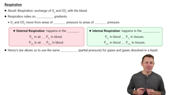 Respiration