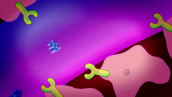 Introduction to endocrine system 