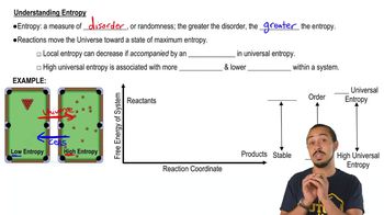 Understanding Entropy