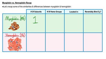 Myoglobin vs. Hemoglobin