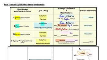 Lipid-Linked Membrane Proteins