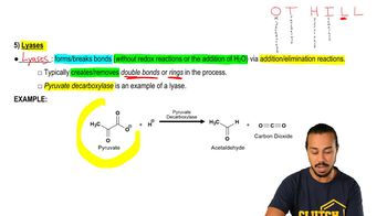 Types of Enzymes