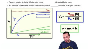 Passive Membrane Transport