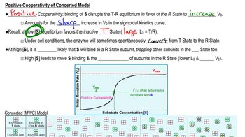 Concerted (MWC) Model