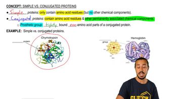 Simple Vs Conjugated Proteins