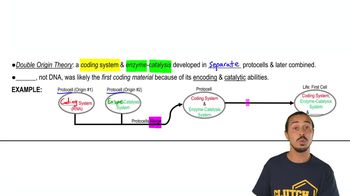 The Double Origin Theory of Life