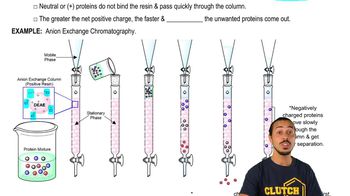 Anion-Exchange Chromatography