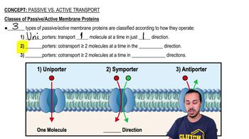 Passive vs. Active Transport