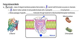 Integral Membrane Proteins